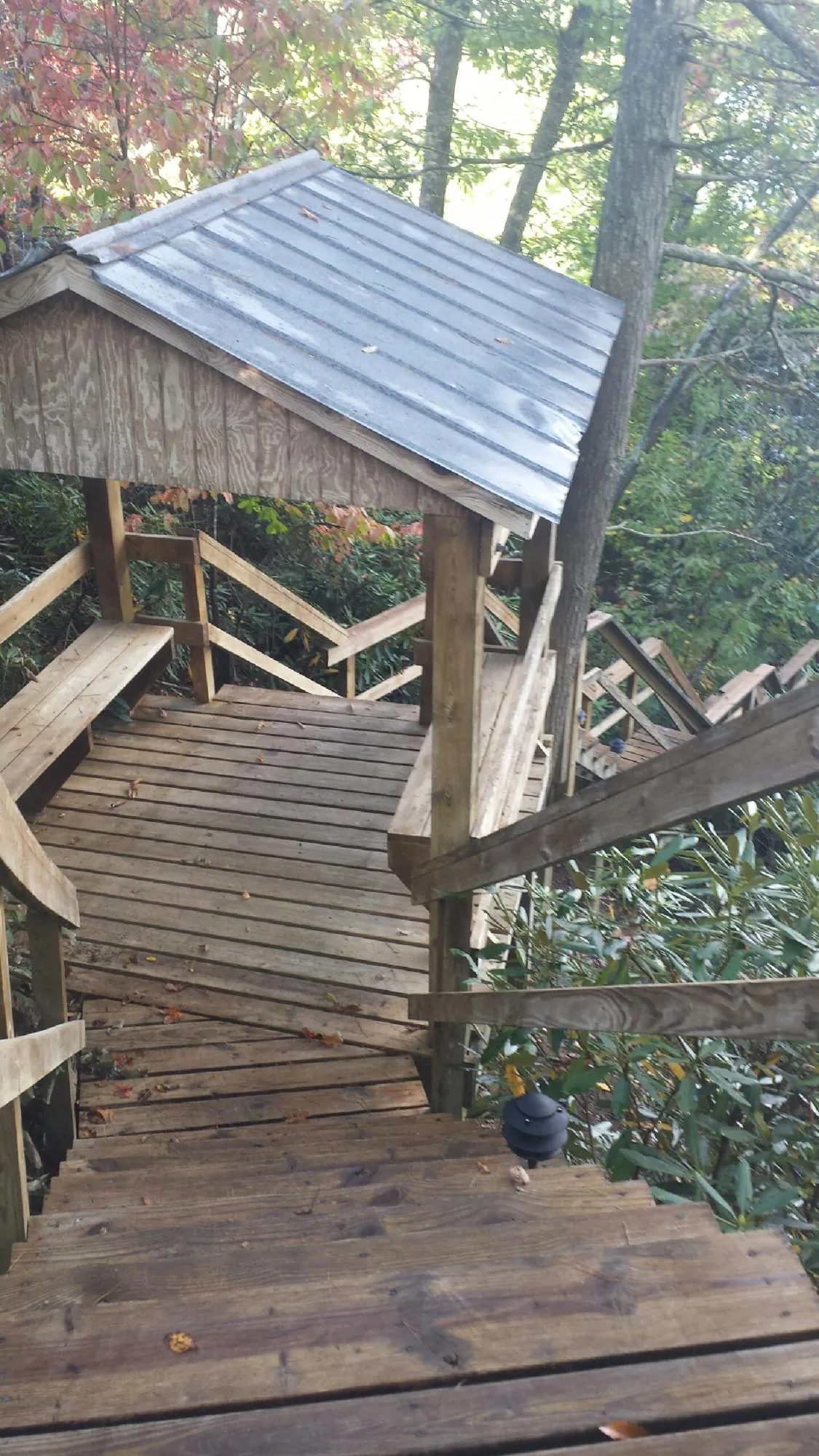 Metal roofed shelter over wooden steps on a wooded walkway — Skylight Repair & Installation work by our crew in Rosburg